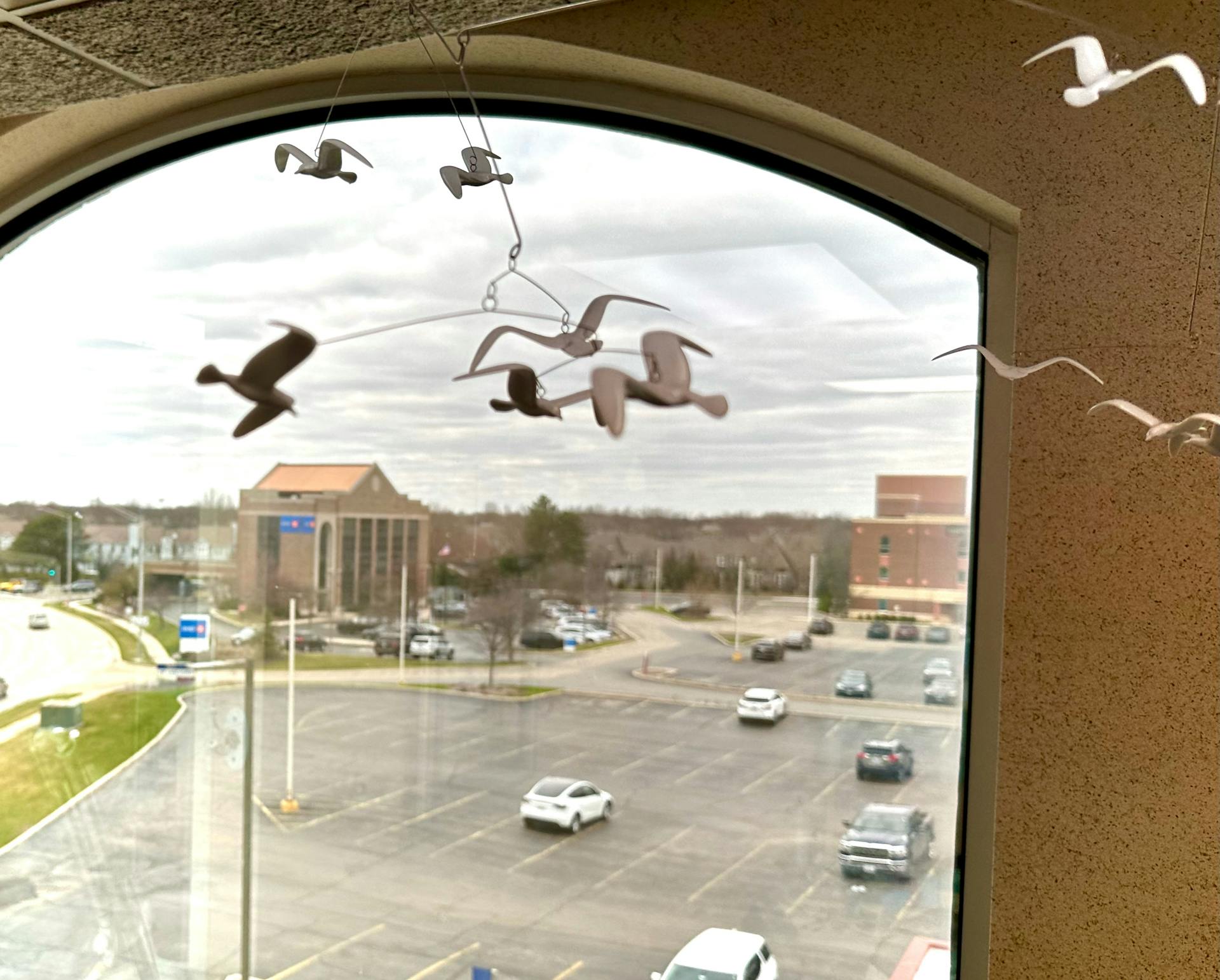 View from Dr. Brown's dental office window with bird decorations hanging in the foreground and the Fifth Third Bank building at 1295 Rickert Drive, Naperville, IL, visible outside.